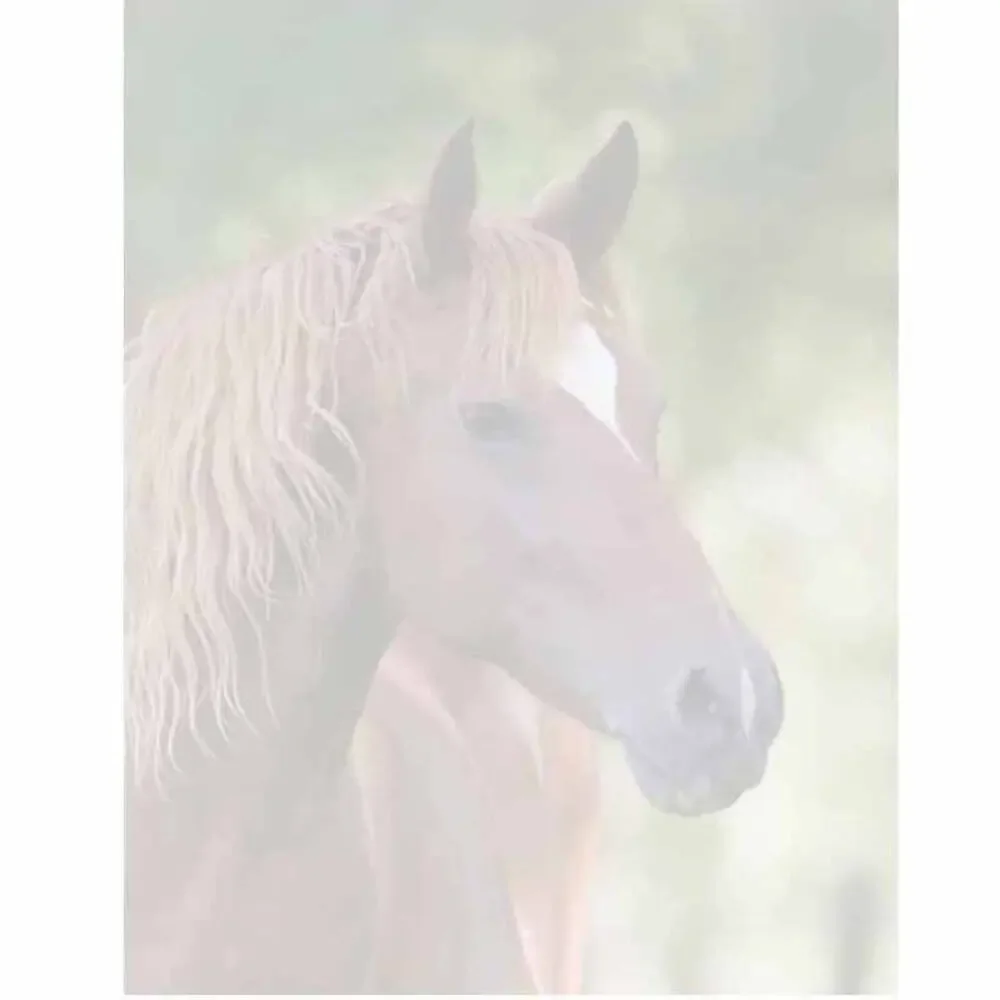 Horse Stationery 8.5